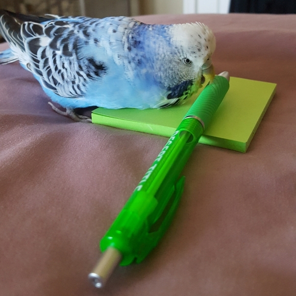 💕Bundle 3 items Get 20% Off💕 - Picture 8 of 16